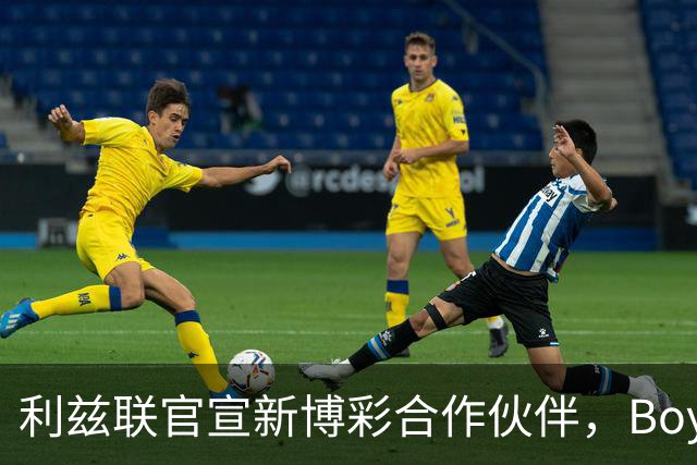 利兹联官宣新博彩合作伙伴，Boyle Sports品牌将重返英超赛场