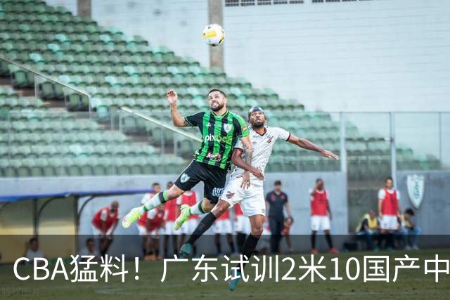 CBA猛料！广东试训2米10国产中锋，张镇麟签约新代言，同曦四川股权被冻结