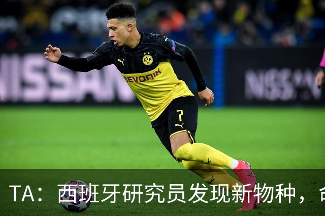 TA：西班牙研究员发现新物种，命名为“沃齐尼亚的海蛞蝓”